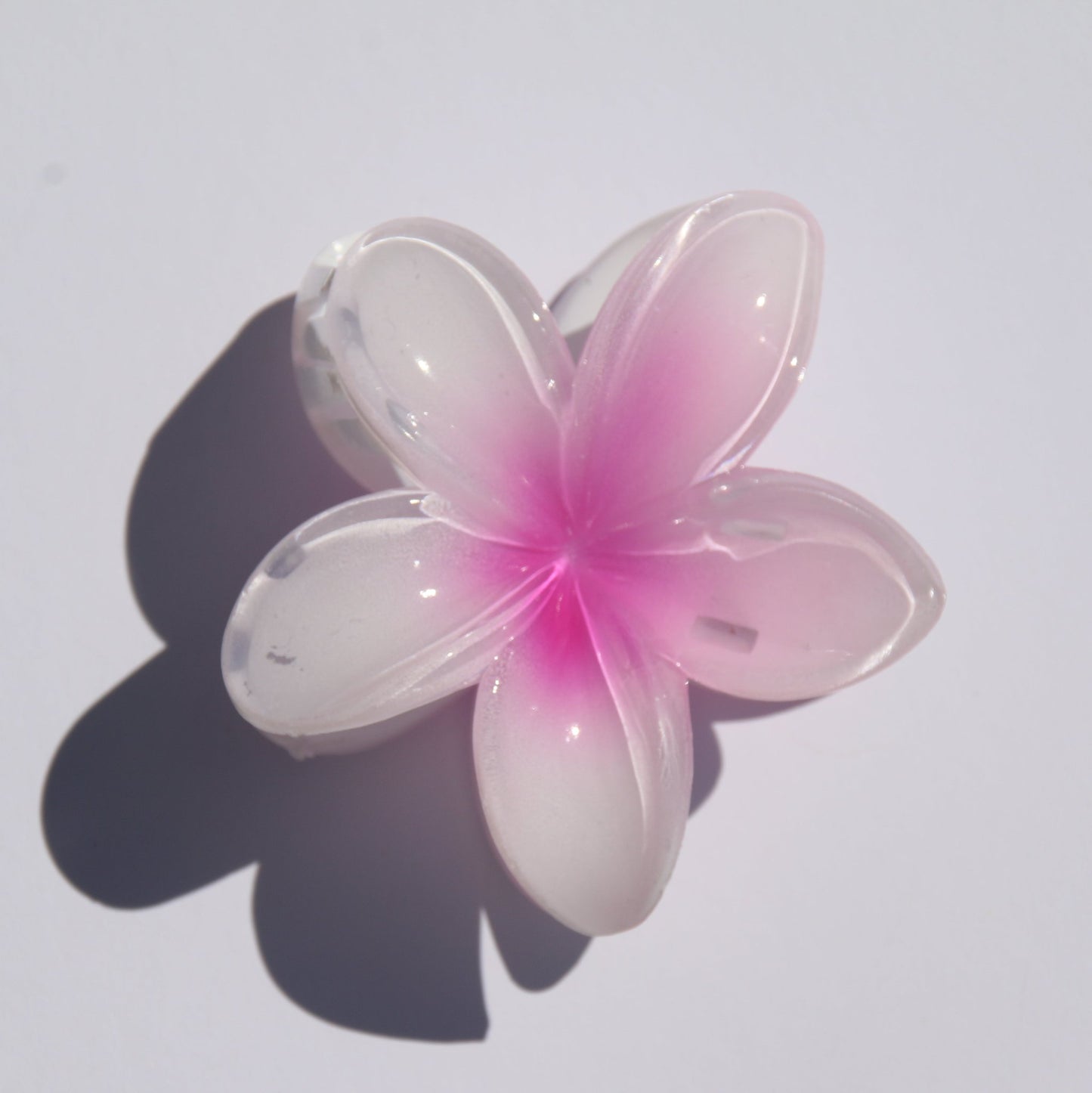 Frangipani Claw Clip Pink & White