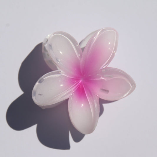 Frangipani Claw Clip Pink & White