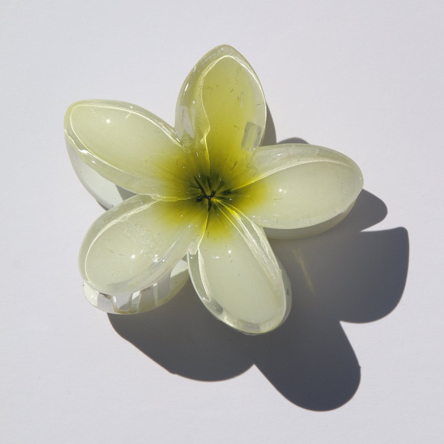 Frangipani Claw Clip Green & White